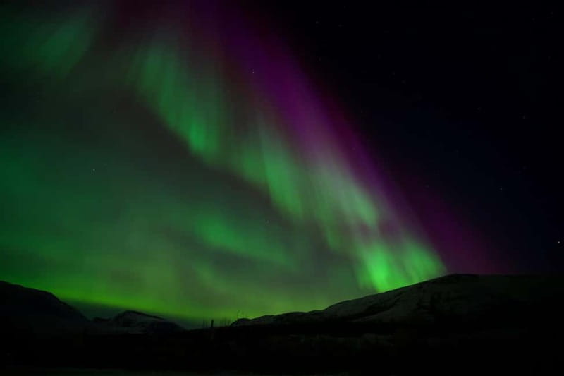 Tromsø: Small-Group Northern Lights Tour by Minibus - Staying Warm: Thermal Suits, Headlights, and Real Bonfire Breaks