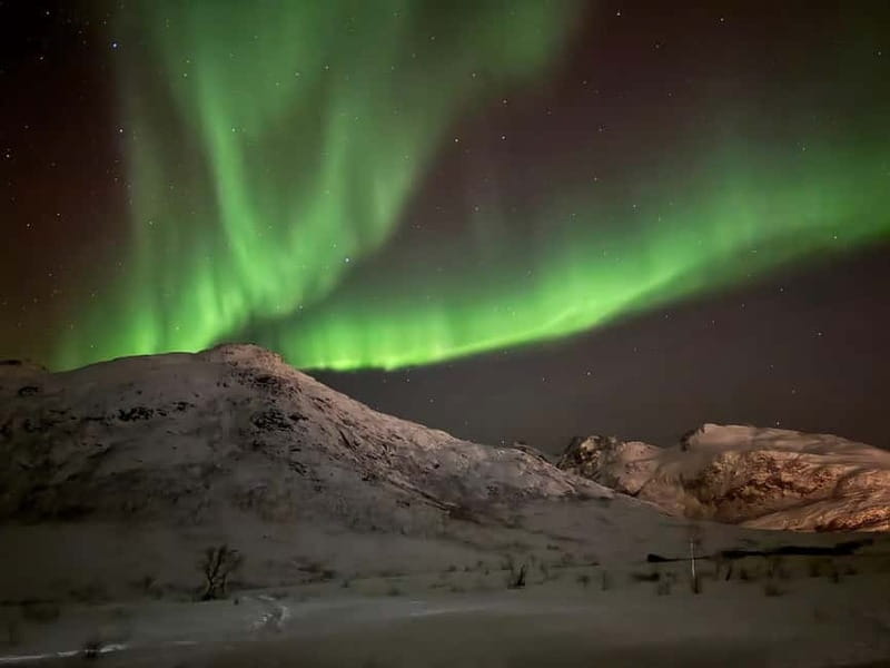 Tromsø: Small-Group Northern Lights Tour by Minibus - The Included Guide Photos: Keepsakes Without the Camera Stress