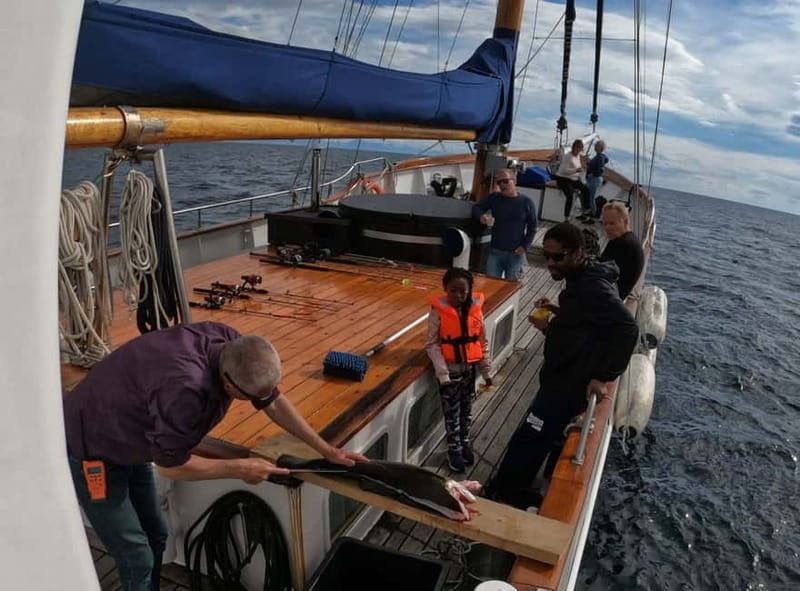 Tromsø: Small Group Sea-to-Table Fishing Experience - Key Points You’ll Actually Care About