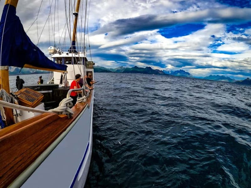 Tromsø: Small Group Sea-to-Table Fishing Experience - The Stella Oceana Sea-to-Table Setup (Luxury That’s Still Practical)