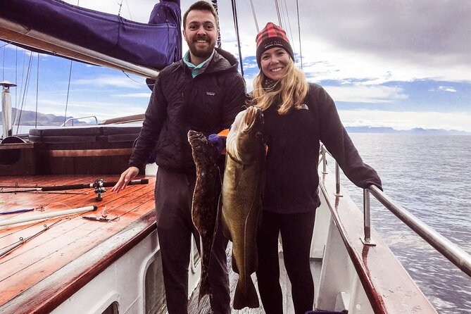 Tromsø Small Group Sea-to-Table Fishing Trip - Key Highlights at a Glance
