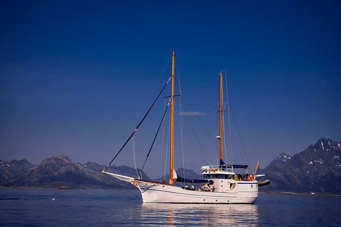 Tromsø Small Group Sea-to-Table Fishing Trip - Crew Energy, Norwegian Ocean Care, and Real Names You Can Look For