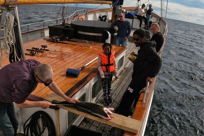 Tromsø Small Group Sea-to-Table Fishing Trip - Your 4-Hour Window on the Fjords, From 10:00 AM