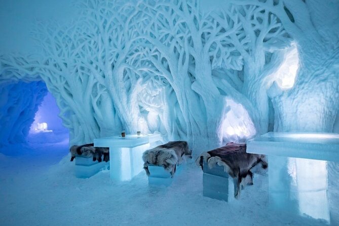Tromsø Snowmobiling, Ice Domes Snow Park, and Reindeer Visit - Suit-up and first lessons on your Tromsø snowmobile