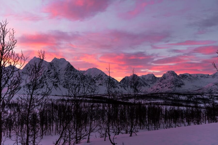 Tromso-Snowshoeing excursion to view point - Key highlights you should care about