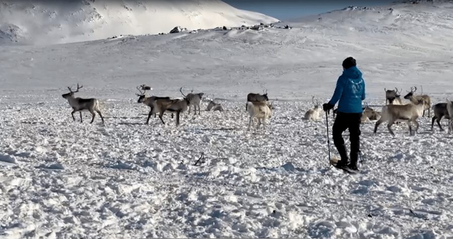 Tromsø: Snowshoeing Tour & Reindeer Encounter with Lunch - Guide impact: names like Rafa, John, Mary, and Arthur