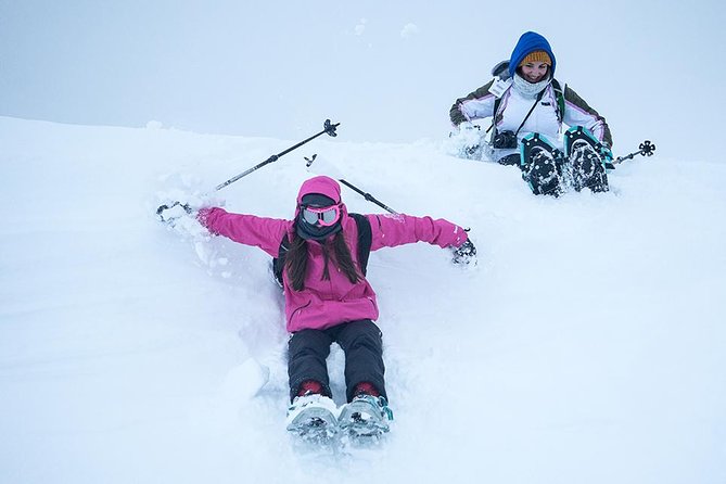 Tromso Snowshoeing - Valley, Fjord Views, Wildlife, Meal & Pickup - Where this Tromso snowshoe trip really starts