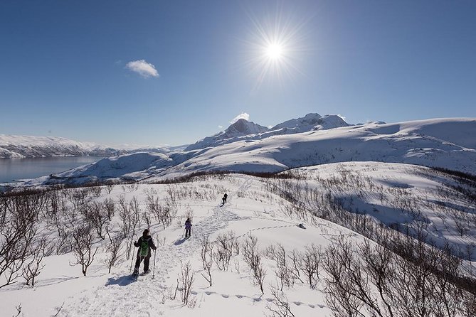 Tromso Snowshoeing - Valley, Fjord Views, Wildlife, Meal & Pickup - Valley and fjord views, plus the mountain stop that makes it feel worthwhile
