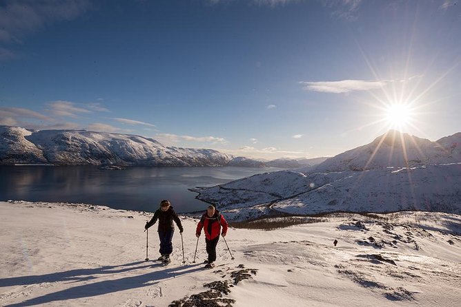 Tromso Snowshoeing - Valley, Fjord Views, Wildlife, Meal & Pickup - Wildlife spotting: a real chance, not a gimmick