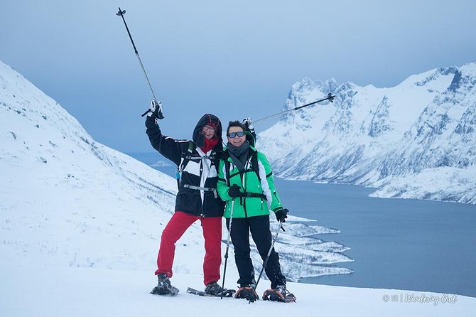 Tromso Snowshoeing - Valley, Fjord Views, Wildlife, Meal & Pickup - What happens during lunch, and why it is more than food