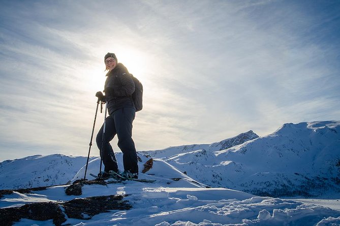 Tromso Snowshoeing - Valley, Fjord Views, Wildlife, Meal & Pickup - Timing, pace, and how to not get left behind
