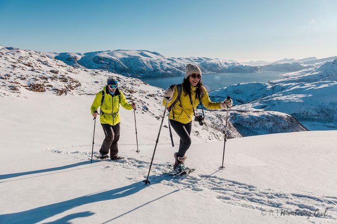 Tromso Snowshoeing - Valley, Fjord Views, Wildlife, Meal & Pickup - The small-group snowshoeing that keeps it from feeling like a stampede