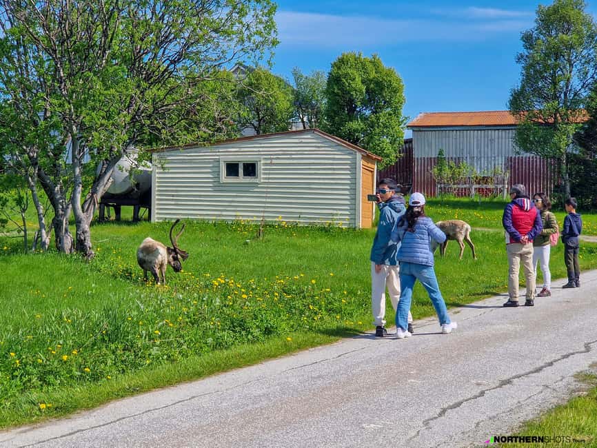 Tromsø: Sommaroy Fjord Tour with Lunch Option - Your Guide Matters: Stories, Photo Moments, and Local Texture