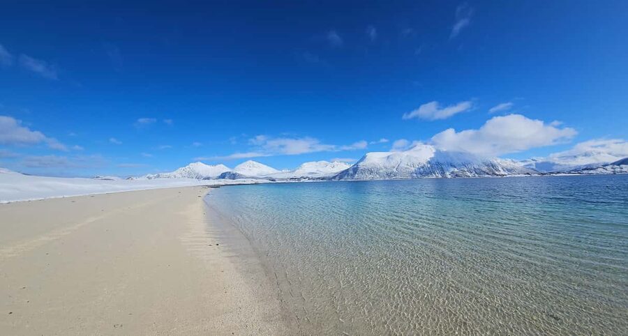 Tromsø: Sommerøya and Kvaløya Arctic Fjords Tour with Lunch - Tromsø to Kvaløya and Sommarøy: the real vibe of this Arctic day