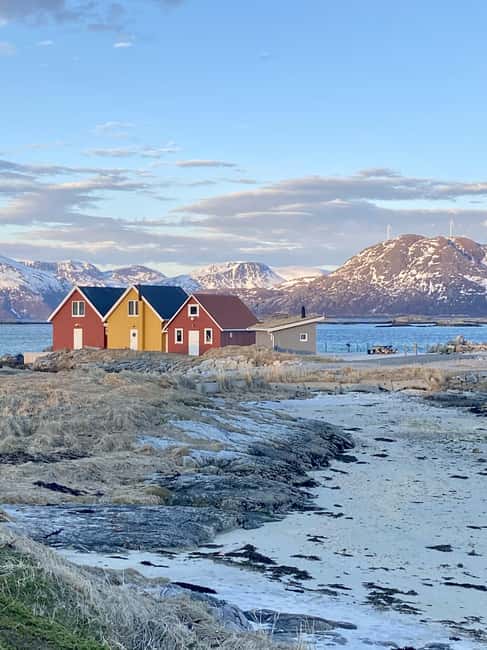 Tromsø: Sommerøya and Kvaløya Arctic Fjords Tour with Lunch - Photos you actually want to keep: from viewpoint help to emailed portraits