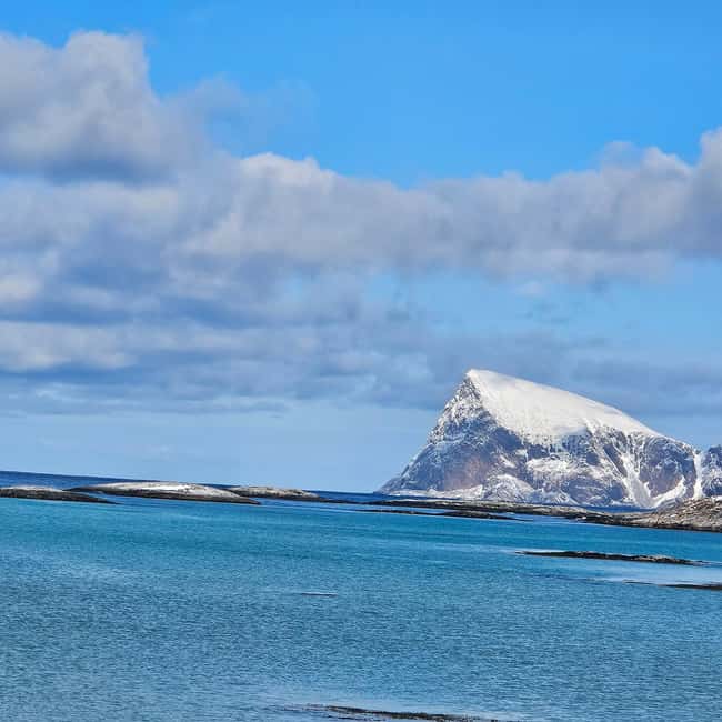 Tromsø: Sommerøya and Kvaløya Arctic Fjords Tour with Lunch - Price and value: is $176 per person fair?