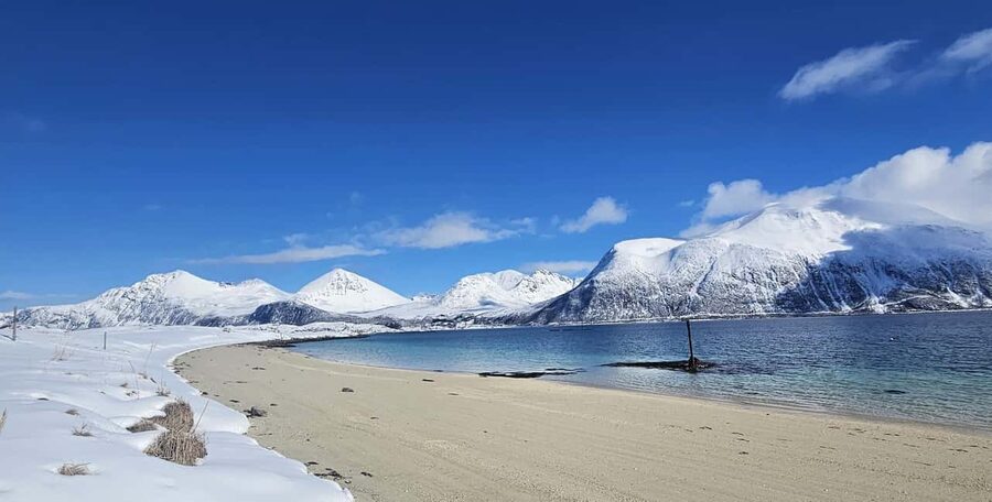 Tromsø: Sommerøya and Kvaløya Arctic Fjords Tour with Lunch - Meeting point and how the 5.5-hour flow actually works