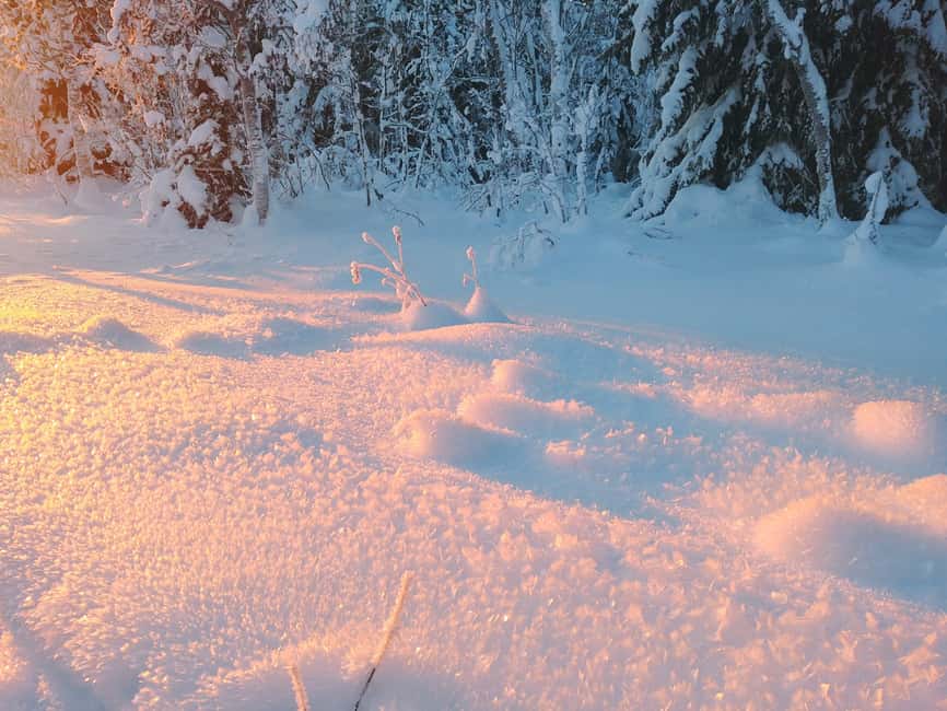 Tromsø Street to Wilderness: Guided Snowshoe Hike - Your warm break: traditional lefse and a hot drink