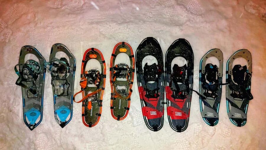 Tromsø Street to Wilderness: Guided Snowshoe Hike - Who this snowshoe hike is for, and who should skip it