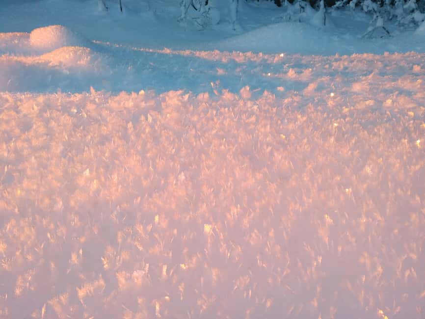 Tromsø Street to Wilderness: Guided Snowshoe Hike - Price and value: what $104 buys you in Tromsø winter time