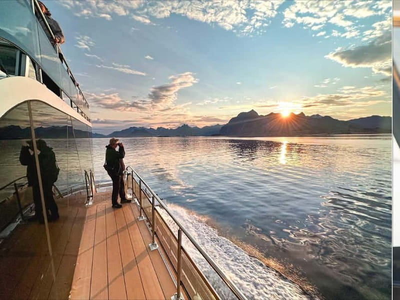 Tromsø: Summer Arctic Light Cruise with a Guide - Midnight Sun in Tromsø: the 4-Hour Arctic Light Promise