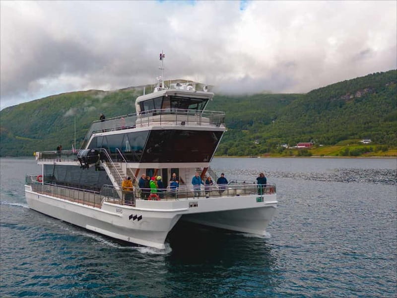 Tromsø: Summer Arctic Light Cruise with a Guide - Inside the Boat: Warmth, Windows, and Guide Storytelling