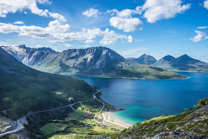 Tromsø: Summer Day Hike with Wandering Owl - Wildlife and Flora Talk: How to Get More From the Same Trail