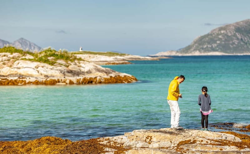 Tromsø: Summer Fjord Road Trip with Citizen Science - Key things to know before you go