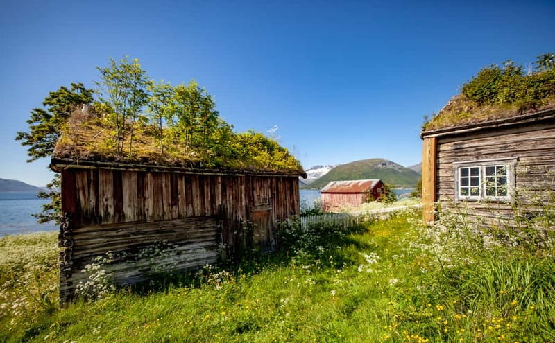 Tromsø: Summer Fjord Road Trip with Citizen Science - Kvaløya viewpoints: fjords, villages, and the wildlife you actually hope to spot