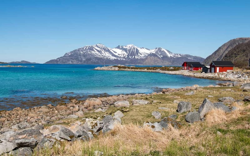 Tromsø: Summer Fjord Road Trip with Citizen Science - Wildlife spotting without the stress: how to manage expectations on the coast