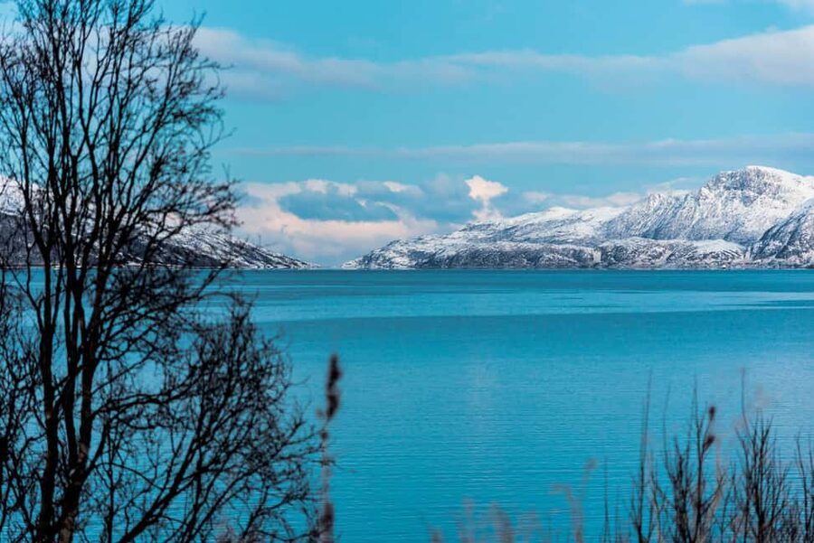 Tromso: Visit 5 Fjords in 4 hours - How a Minivan Route Helps You Hit Five Fjords Fast