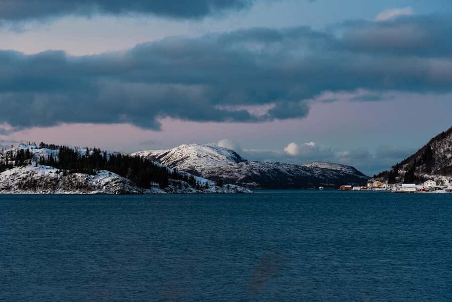Tromso: Visit 5 Fjords in 4 hours - Stop Four: The Longer Break With Coffee, Tea, and Muffins