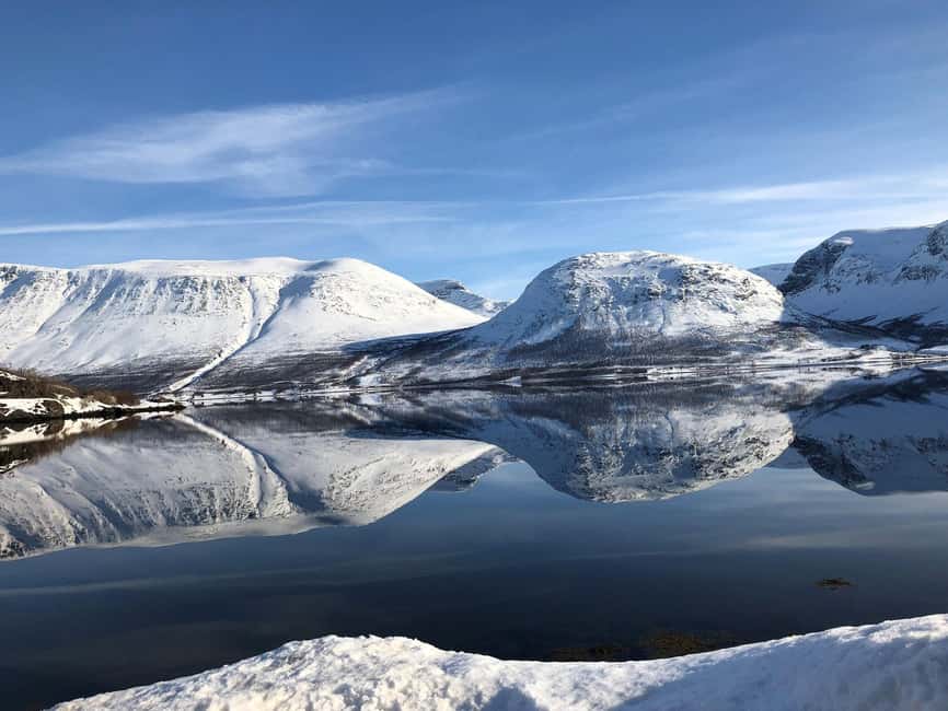Tromsø Whale Safari with MS Gabriele - Price and Value at About $207 per Person