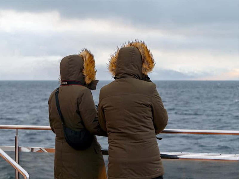 Tromsø: Whale Watching on hybrid boat with scenic bustrip - Hybrid-electric boat setup: how you get closer without blasting the whales