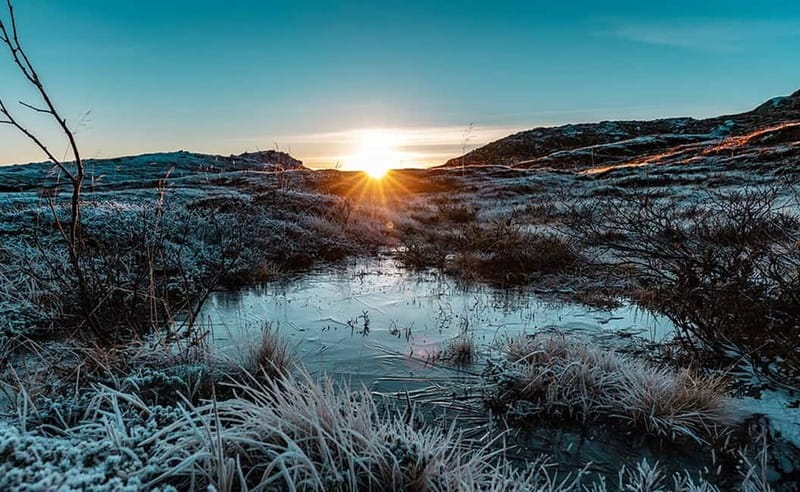 Tromsø: Winter Fjord Road Trip - Key highlights to look for on the Tromsø winter fjord road trip