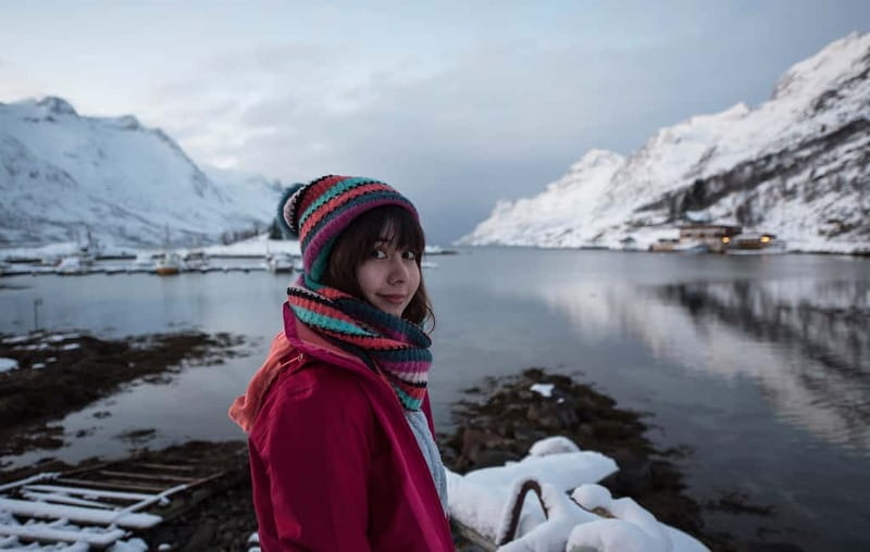 Tromsø: Winter Fjord Road Trip - Photo stops that teach you how to see the fjords