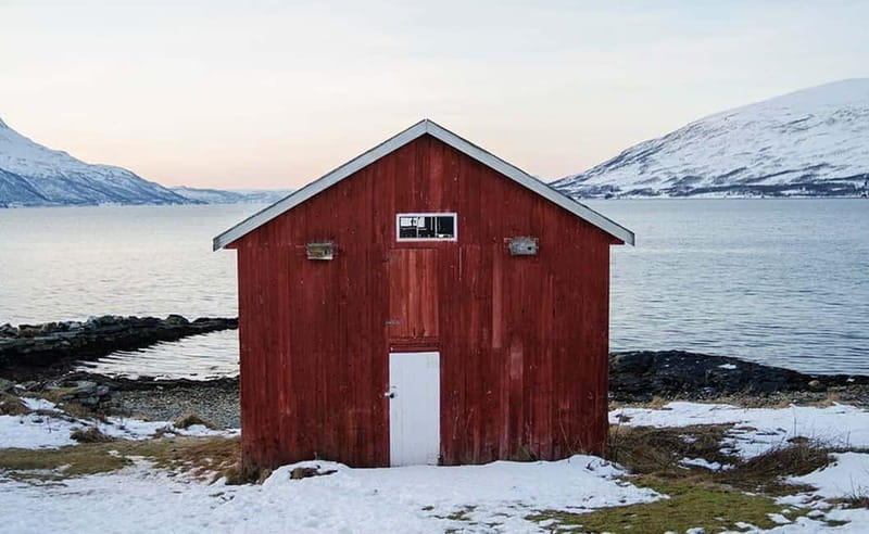 Tromsø: Winter Fjord Road Trip - Wildlife spotting on the coast: reindeer, otters, sea eagles, and more