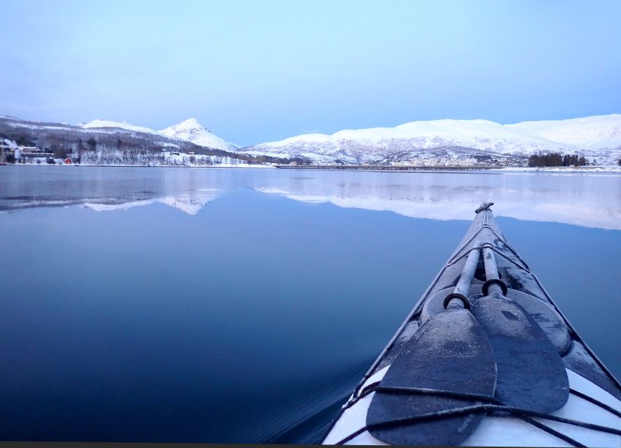 Tromsø: Winter Sea Kayaking Tour with Wildlife Sightings - Key Highlights Worth Booking