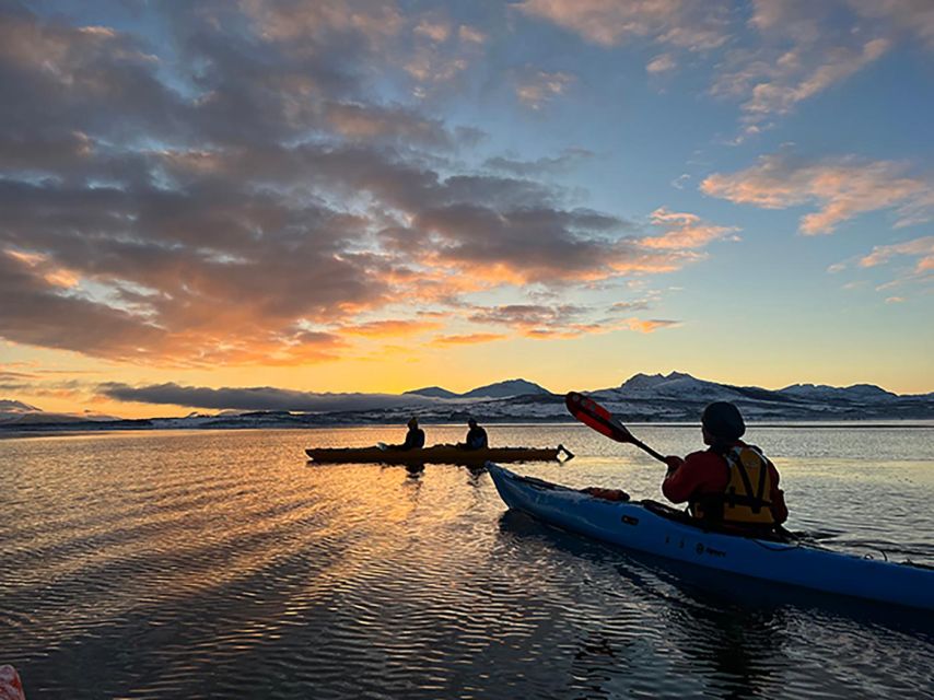 Tromsø: Winter Sea Kayaking Tour with Wildlife Sightings - Why Tromsø Winter Sea Kayaking Feels Different Than Summer