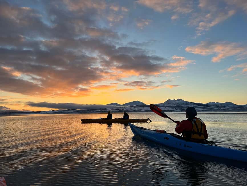 Tromsø: Winter Sea Kayaking Tour with Wildlife Sightings - Guides Make the Cold Feel Possible (Lauti, Jenka, Aemon, and More)