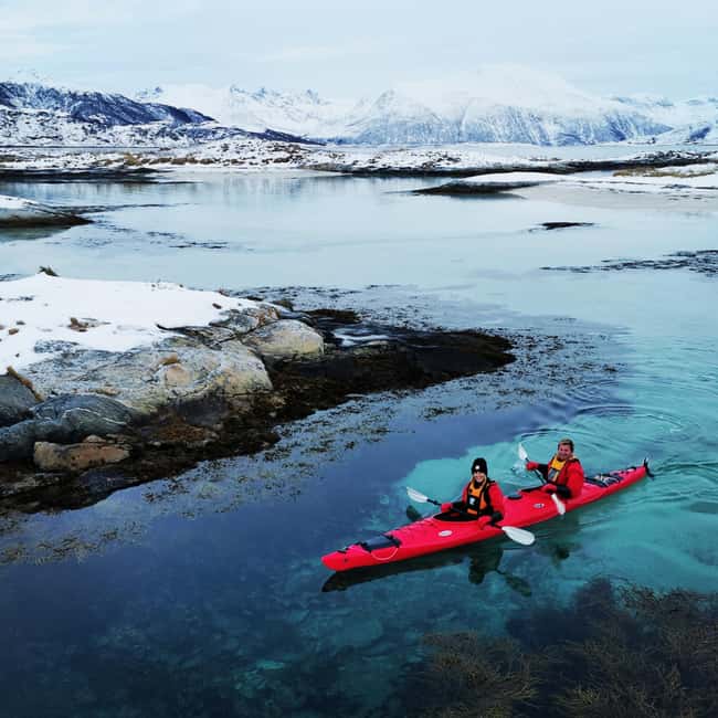 Tromsø: Winter Sea Kayaking Tour with Wildlife Sightings - Gear, Clothing, and the Small Details That Matter