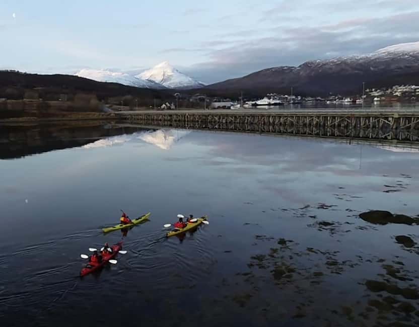 Tromsø: Winter Sea Kayaking Tour with Wildlife Sightings - When to Go: Polar Night Stars, Early Sunsets, and Weather Reality