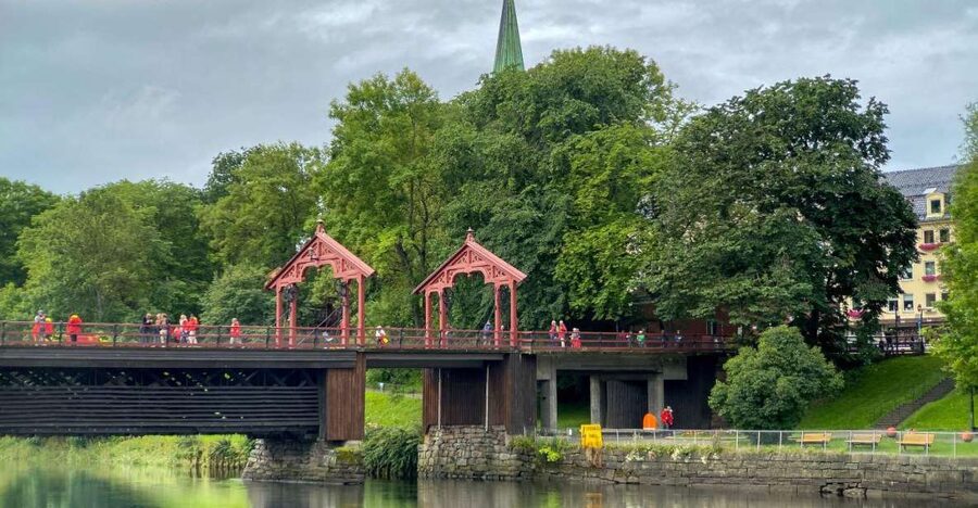 Trondheim: City Highlights Bus and Walking Tour - Sverresli viewpoint, the quick fix for city-scale understanding