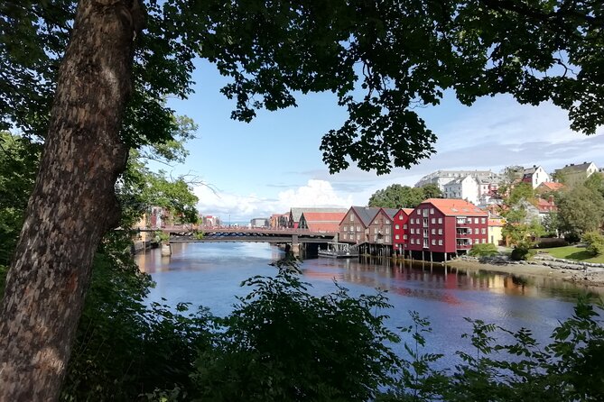 Trondheim: Discover the city of kings with a local guide - Bakklandet: colorful houses and the bike lift worth slowing down for