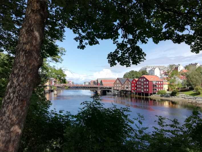 Trondheim : Explore the city of kings with a local guide - Key things to notice on this Trondheim walk