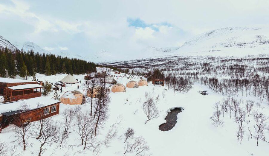 True Locals of the Arctic: Reindeer Sledding at Camp Tamok - Why Camp Tamok’s Reindeer Sledding Works So Well