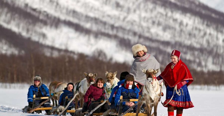 True Locals of the Arctic: Reindeer Sledding at Camp Tamok - Reindeer Sledding: Short, Gentle, And Close-Up