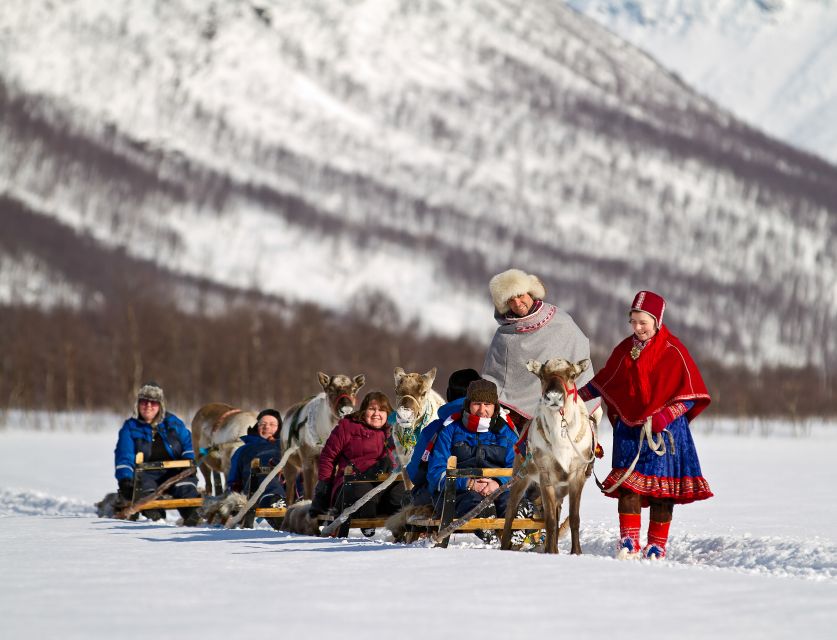 True Locals of the Arctic: Reindeer Sledding at Camp Tamok - Sami Culture: Questions Are Part Of The Fun