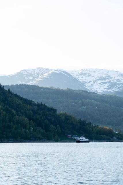 Ulvik adventure: Exploring Hardangerfjord's Osafjord by RIB - Roadless fjord settlements: seeing centuries of isolation in one glance