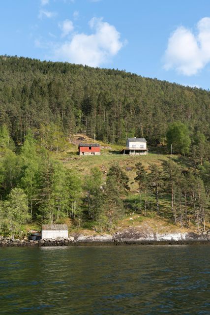Ulvik adventure: Exploring Hardangerfjord's Osafjord by RIB - Weather reality check: rain happens, and it can change the fjord mood